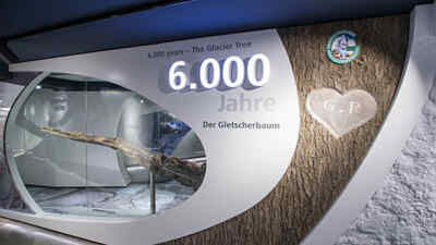 Gletscherbaum - 6.000 Jahre im Gletscher der Hochalpenstraße  
